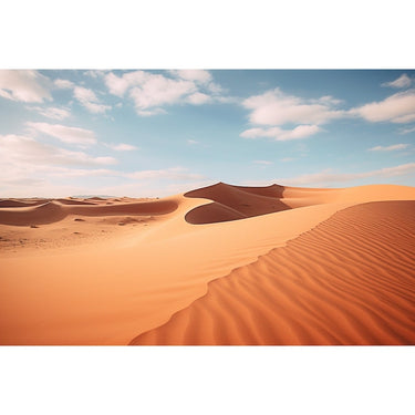 African Desert canvas